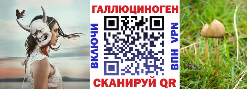 Галлюциногенные грибы мицелий  наркошоп  Староминская 